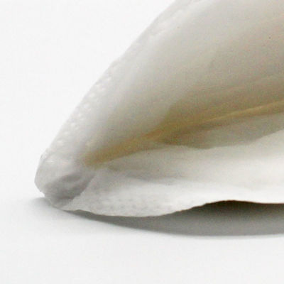 Läuft Breathable Krankenpflege CER SGS ECO auffüllt nicht Gewebe über